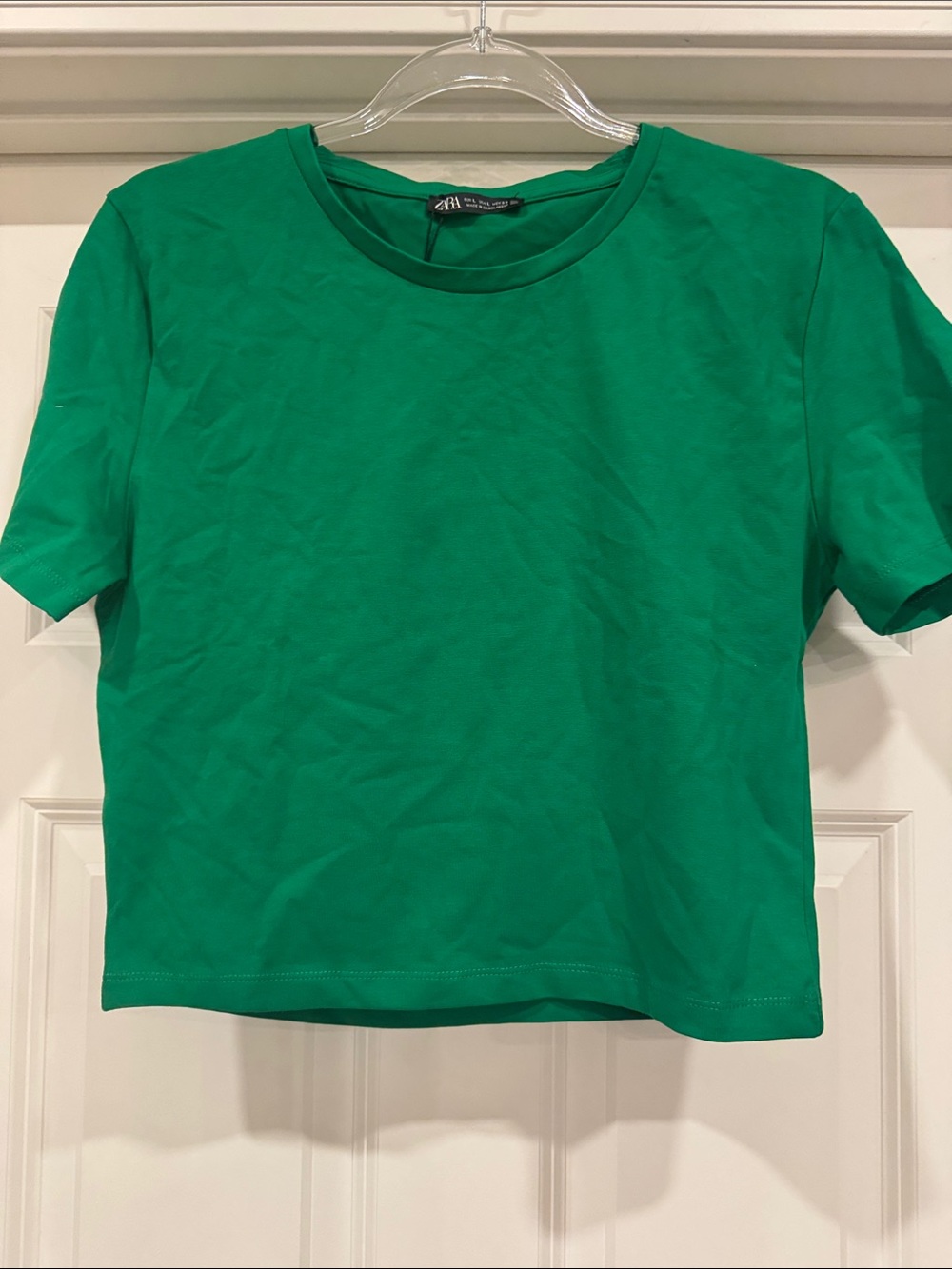 NWT Zara Kelly Green Cropped Crewneck Short Sleeve Tee Size Large